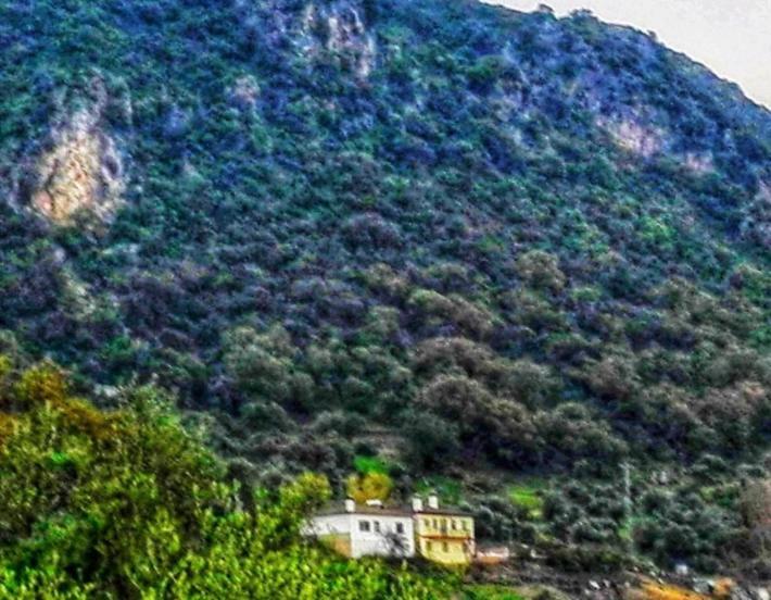Alto De Torrecillas El Bosque Luaran gambar
