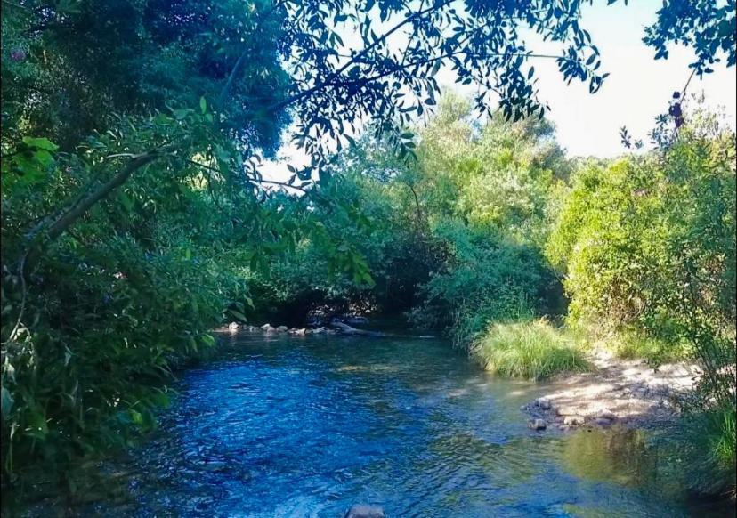 Alto De Torrecillas El Bosque Luaran gambar